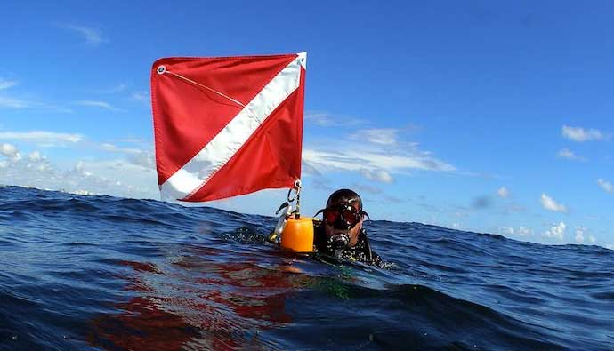 Diver down flag bikini