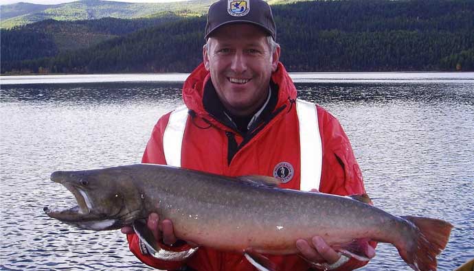 Large bull trout