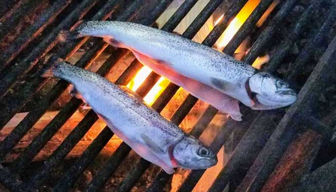 Grilled trout over fire