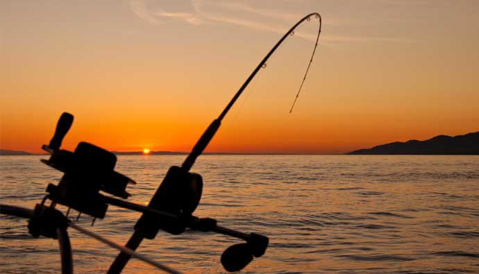 Best Saltwater Fishing Rod