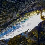 sea trout fishing tips