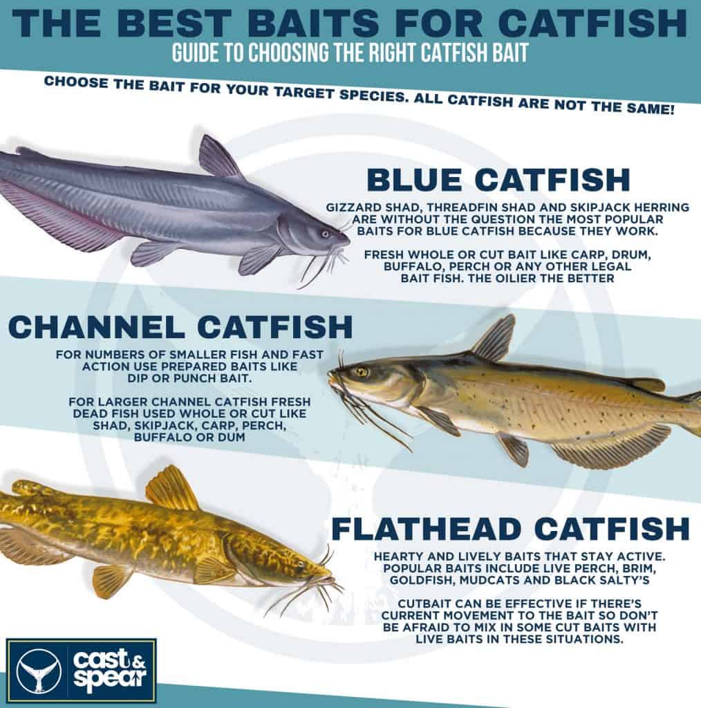 best catfish baits