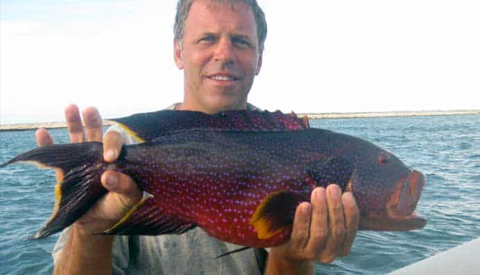 how to catch coral trout