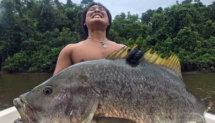 world record papuan black bass