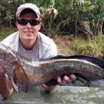 how to catch snakehead fish