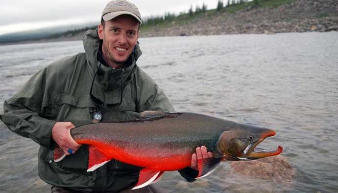 large male arctic char caught by fisherman