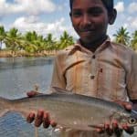 milkfish in india