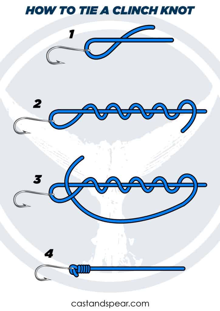 Clinch Knot infographic