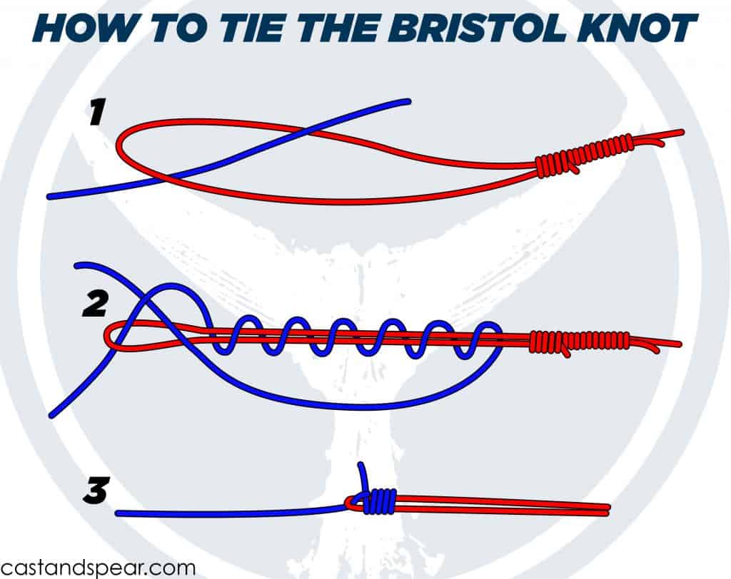 Bristol Knot