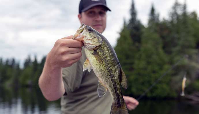 best fishing lines for bass