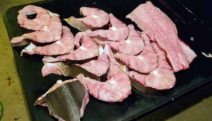 can you eat shark meat - soupfin shark fillets and steaks