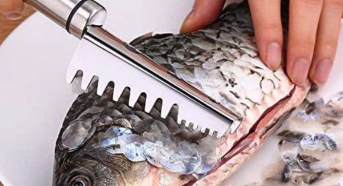 best fish scalers