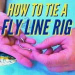 fly line live bait