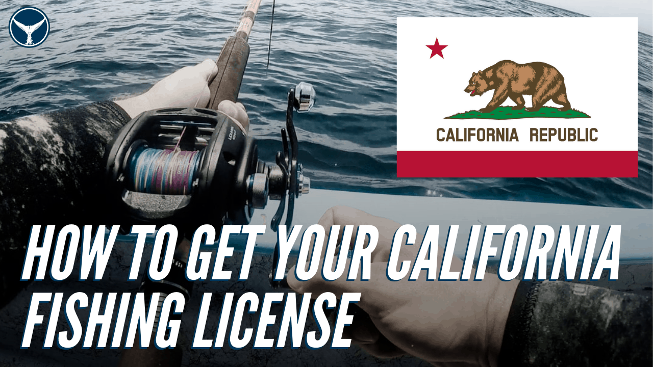 how to buy a California fishing license