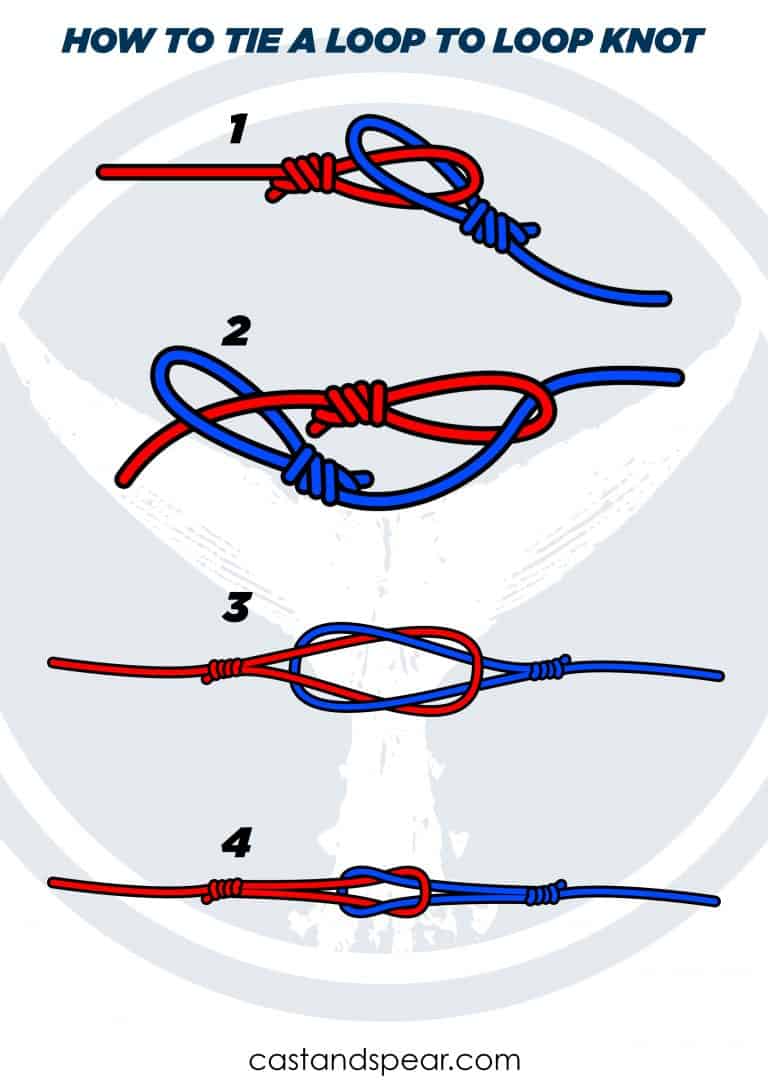 loop to loop knot