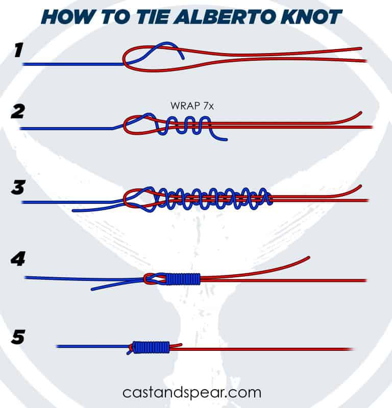 Alberto Knot