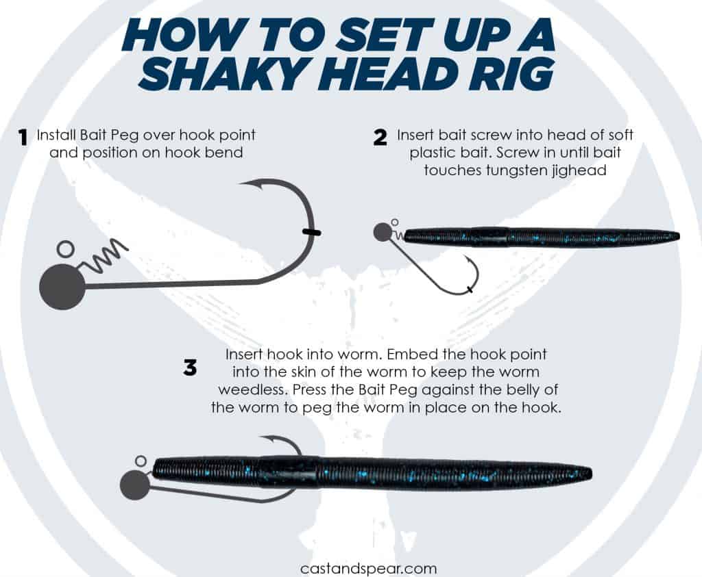 Shaky Head rig