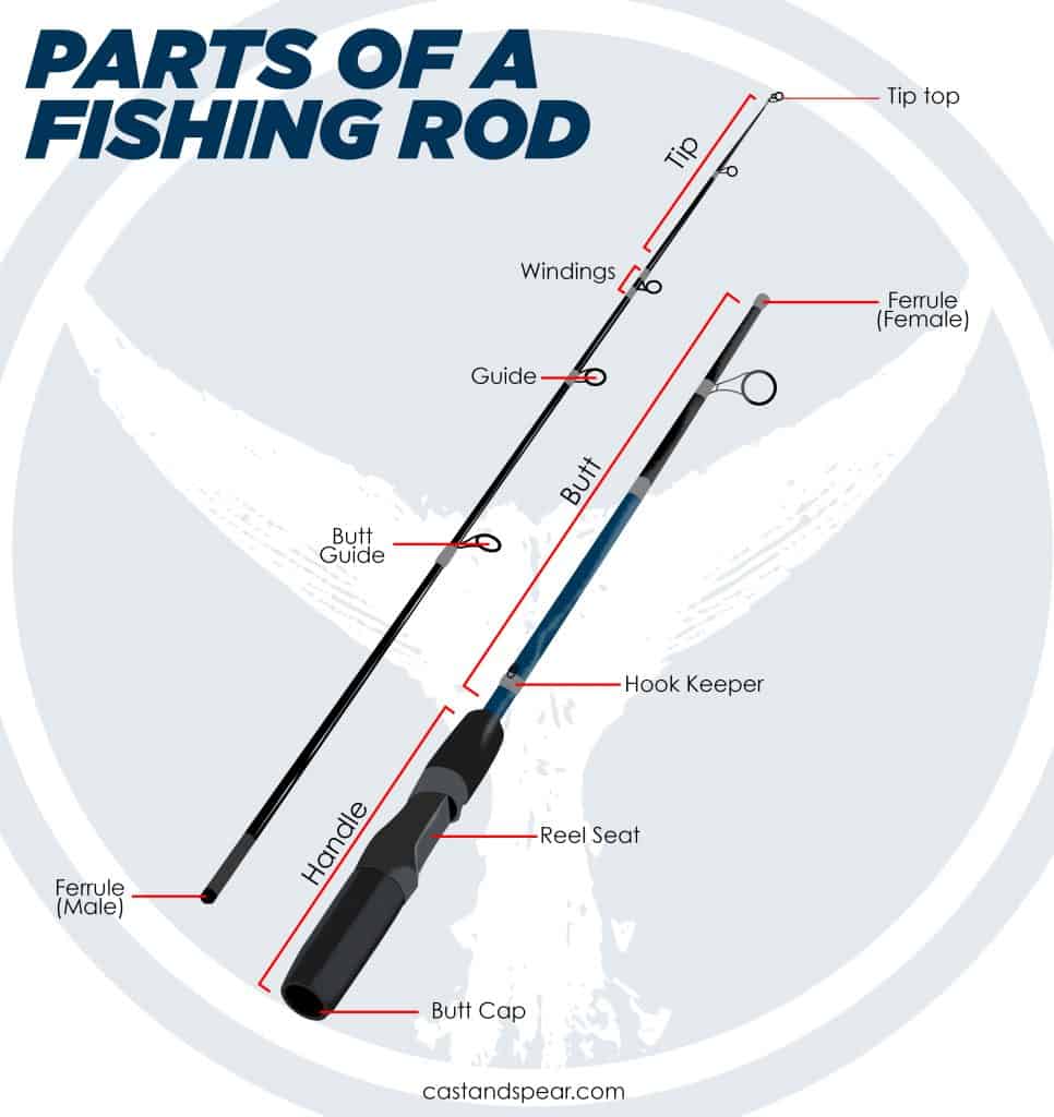 How to Hold a Fishing Rod (The Right Way) - Cast and Spear