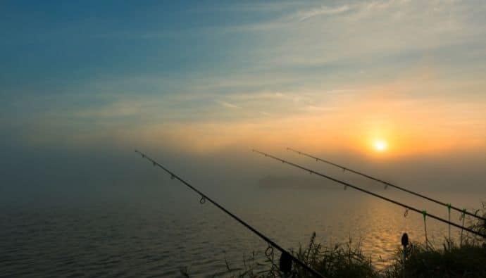 Best Musky Rods — Our Top 4 Picks (2022 Buyer's Guide) - Cast and Spear