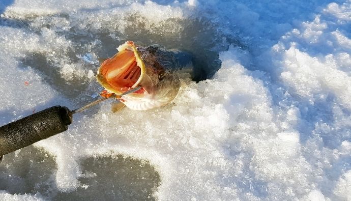 pike ice fishing