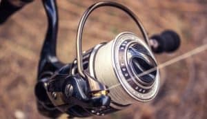 best trout spinning reel