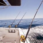 best tuna fishing reels