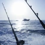 best tuna fishing rods