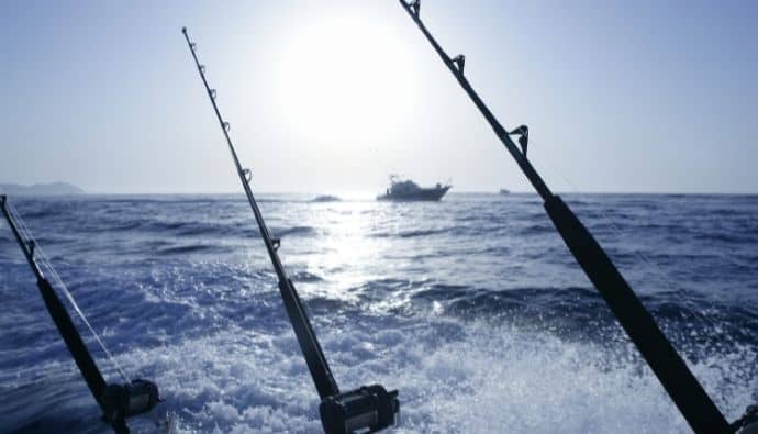 best tuna fishing rods