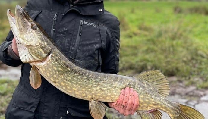 best northern pike lures