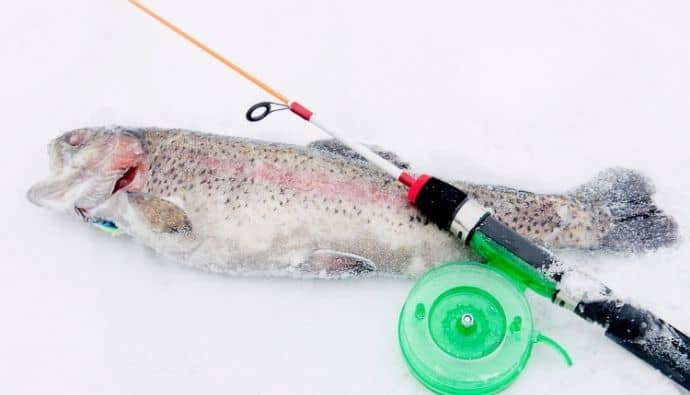 winter trout fishing