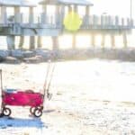 best fishing cart