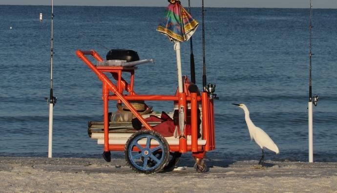 best beach fishing cart