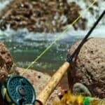 best fly fishing rods for beginners