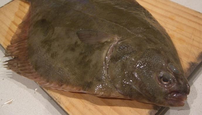 how to clean a flounder