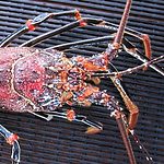 how to clean lobster