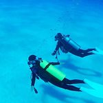 scuba diving in florida