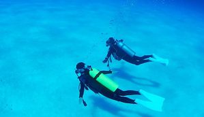 scuba diving in florida