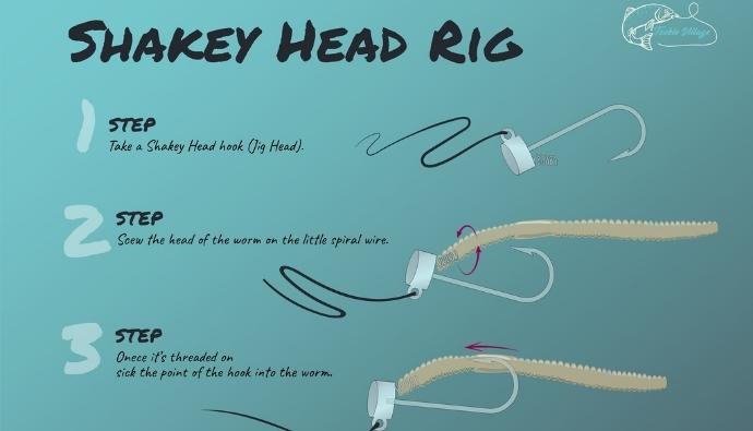 shaky head rig