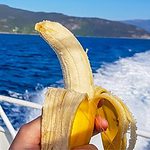 bananas on a boat