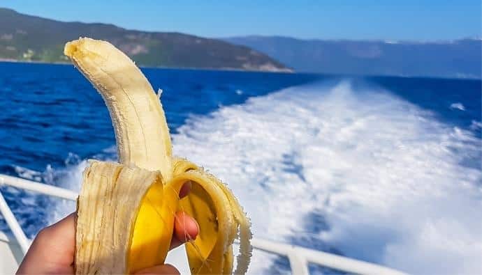 bananas on a boat