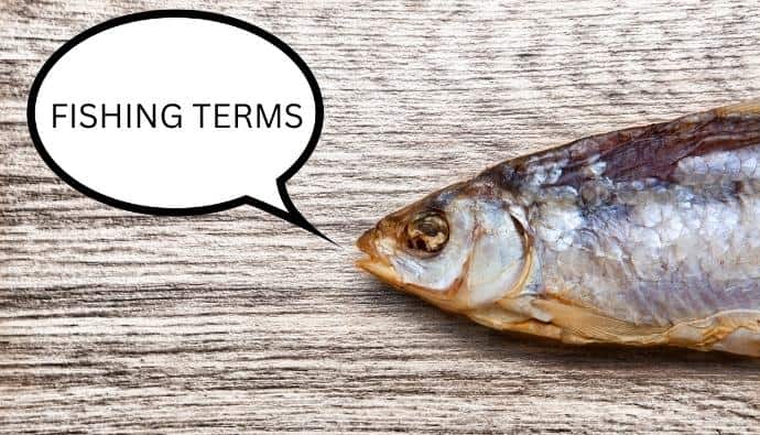 fishing terms