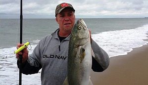 how to catch bluefish