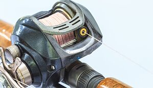 how to clean a baitcasting reel
