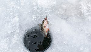 ice fishing in wisconsin