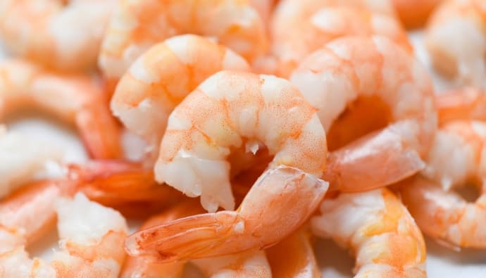 do bass eat shrimp