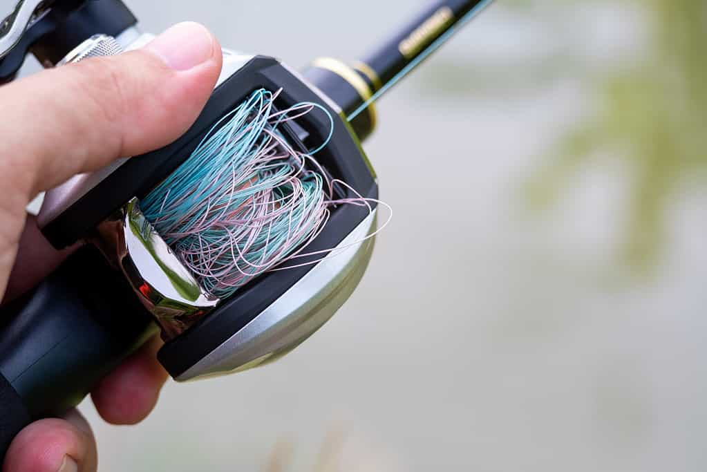 Tangled birds nest with braided line