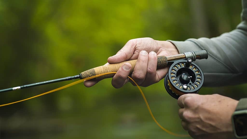 close up of a fly fishing reel