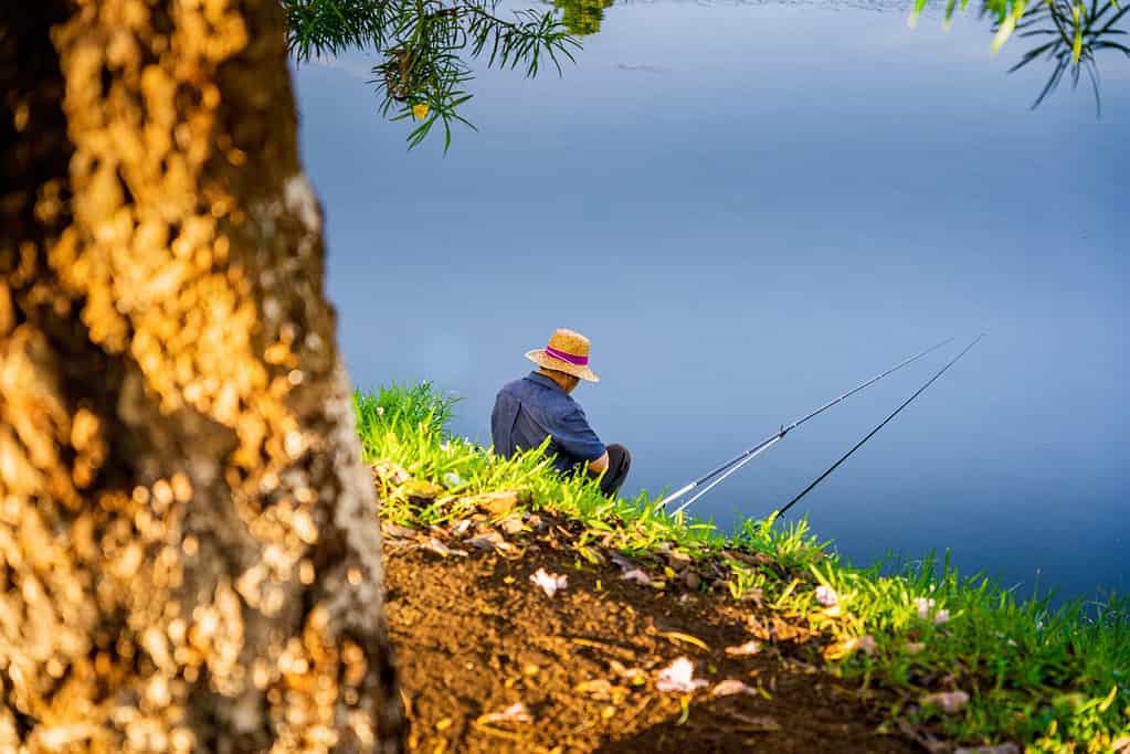 Man waiting for a fish by a lake