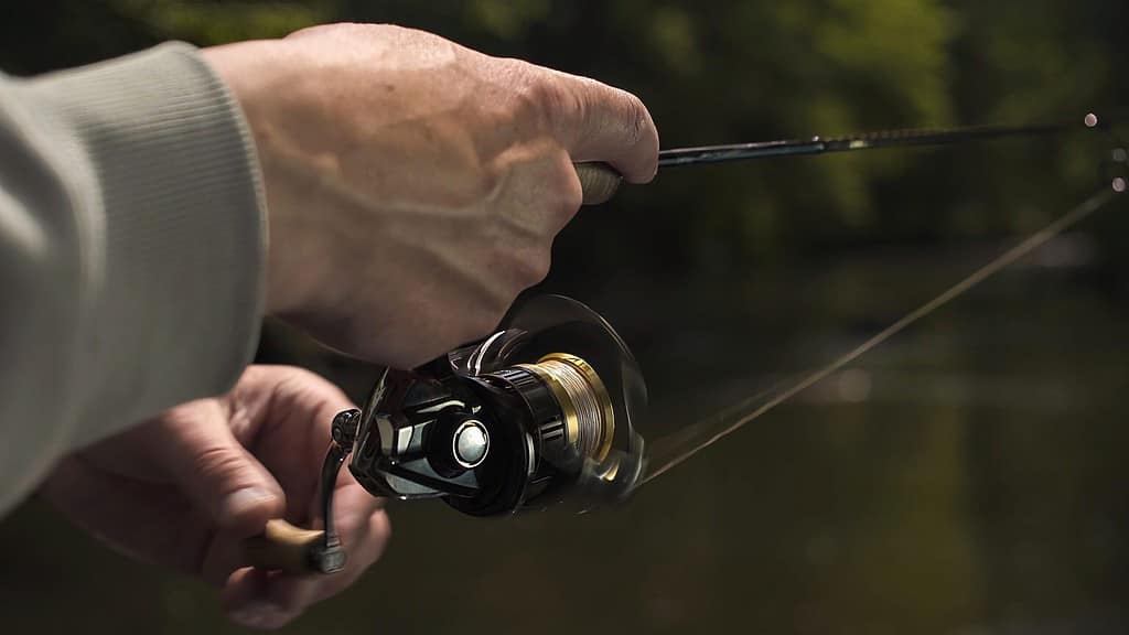close up of a spinning reel