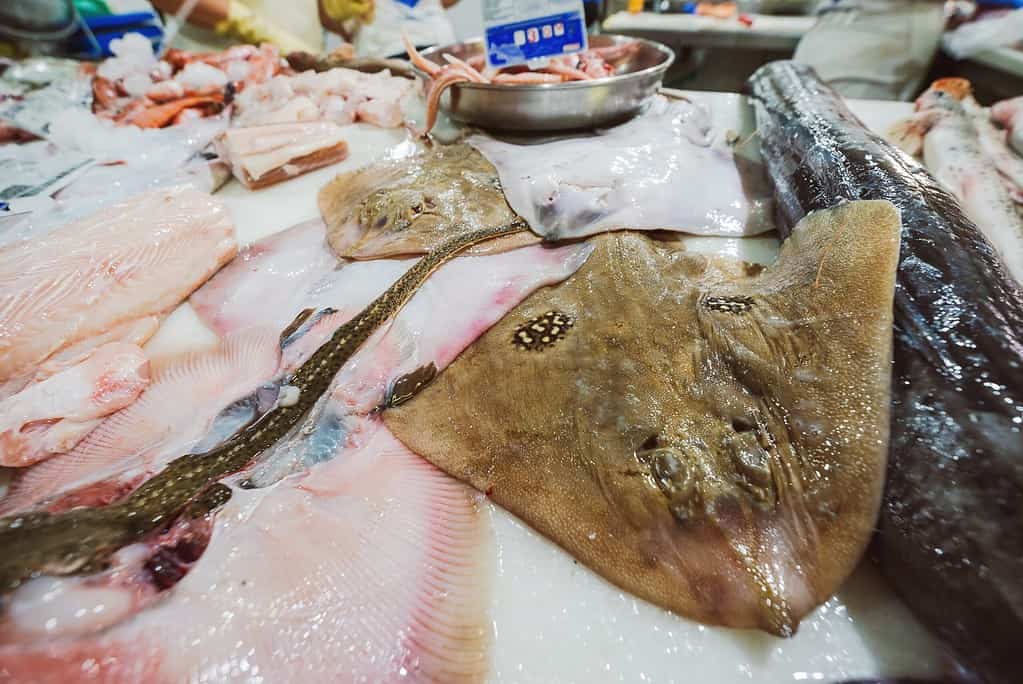 Mix of stingrays being sold